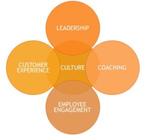 Customer Experience, Leadership - Coaching - inspired experiences, Julie Robinson